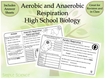 Preview of High School Biology - Aerobic and Anaerobic Respiration Worksheets