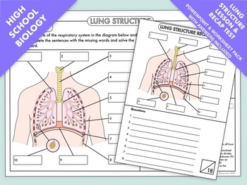 Preview of High School Biology: Complete Lesson and Recap Test on Lung Structure