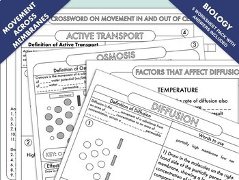 Preview of High School Biology: Diffusion, Osmosis and Active Transport Worksheet Pack