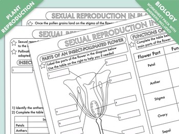 Preview of High School Biology: Plant Reproduction Worksheet Pack