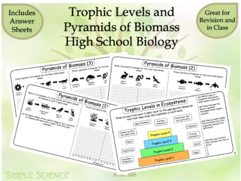 Preview of High School Biology - Trophic Levels and Pyramids of Biomass Worksheets