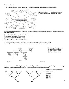 ap biology evolution worksheet