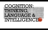 High School Psychology - Cognition