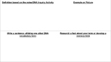 High School Science- Biology DNA Vocabulary 4 Square Activity