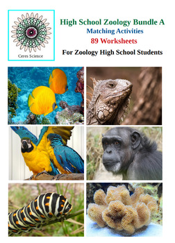 Preview of High School Zoology - 89 Matching Worksheets - Bundle A