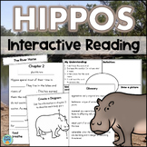 Hippos Hippopotamus Reading Comprehension Main Idea Text F