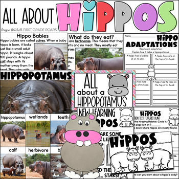 Preview of Hippopotamus Nonfiction Book Study Informational Text Reading Comprehension