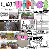 Hippopotamus Nonfiction Book Study Informational Text Read