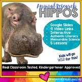 Hippos ...  5 days of animal research mixed w/ literacy sk