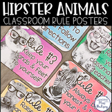 Hipster Animals Class Rules Posters
