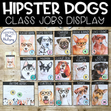 Hipster Dogs Class Jobs Display