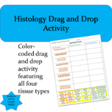 Histology Digital Drag and Drop Activity (Distance Learnin