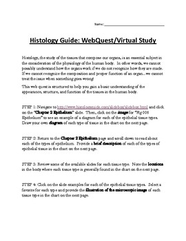 Preview of Histology Guide: WebQuest/Virtual Study