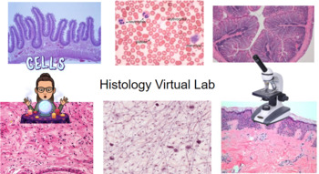 Preview of Histology Lab - Remote Learning 