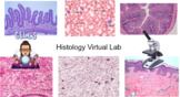 Histology Lab - Remote Learning 