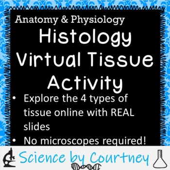 Preview of Histology: Tissue Online Slide Activity (UPDATED 8/2022!)