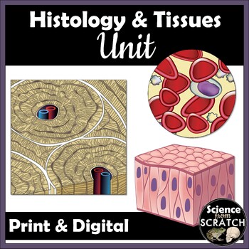 Preview of Histology: Tissues Unit for Anatomy | Doodle Notes, PPT Slides, & Activities