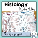Histology or Body Tissues Doodle Notes Bundle - Distance Learning