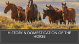 History & Domestication of the Horse (Equine/Animal Scienc