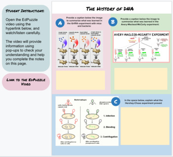 Preview of History of DNA | EdPuzzle Guided Notes 