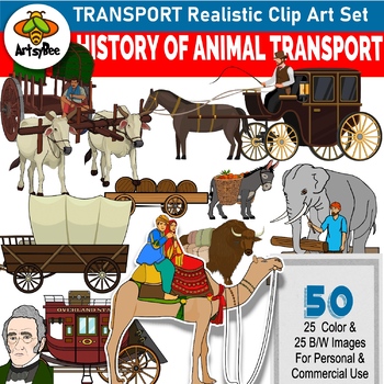 Preview of History of Transportation with Animals - Realistic Clip art set of 50 images