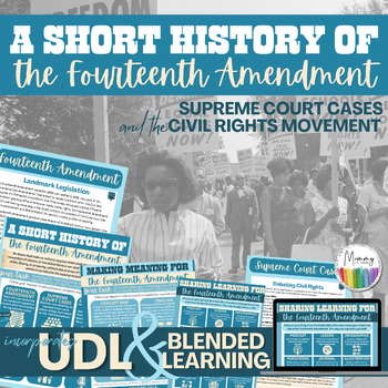 Preview of History of the 14th Amendment | Supreme Court Cases | Civil Rights Movement