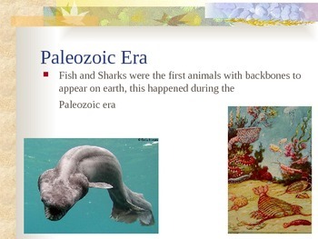 paleozoic era earth history