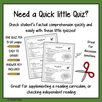 Holes Comprehension Questions & More (Novel Study)