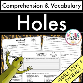 Preview of Holes | Comprehension Questions and Vocabulary by chapter