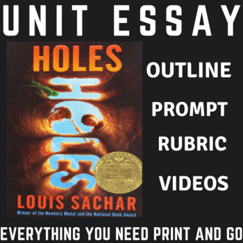 Preview of Holes Louis Sachar Comprehensive Essay