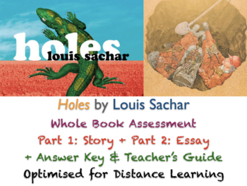 Preview of Holes (Louis Sachar) - Final Whole Book TEST + ANSWERS