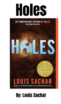 Preview of Holes Modified Novel (Special Education)