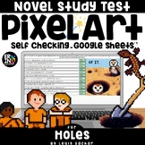Holes Novel Study Comprehension Test Pixel Art on Google Sheets