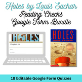 Holes Reading Checks- Google Form Bundle