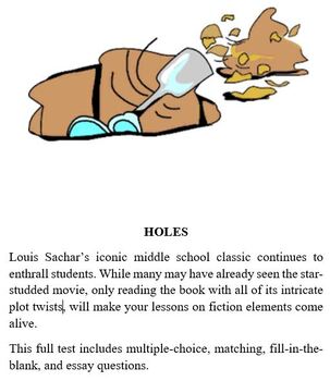 Preview of Holes Test - Complete Test on Novel Holes by Louis Sachar