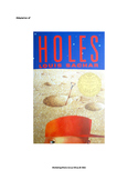 Holes, adapted for students with disabilities