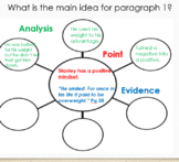 Holes critical essay, novel study, Stanley is determined, 