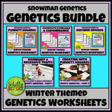 Winter Genetics Worksheets - Snowman Genetics Bundle