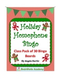 Holiday Homophone Bingo Cards- A class pack of 30 Bingo Cards