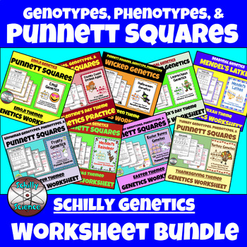 Preview of Punnett Squares Worksheet Bundle