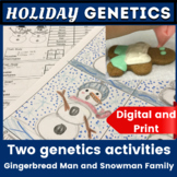 Christmas Winter Science - Genetics Snowman Project Punnet