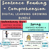 Holiday/Seasonal Year Round Sentence Reading & Comprehensi