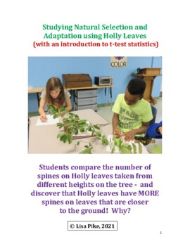 Preview of Holly Leaf Spines: an example of natural selection and adaptation