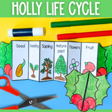 Holly tree life cycle foldable sequencing Christmas activity