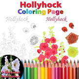 Hollyhock: Coloring Page and Botanical Description Card