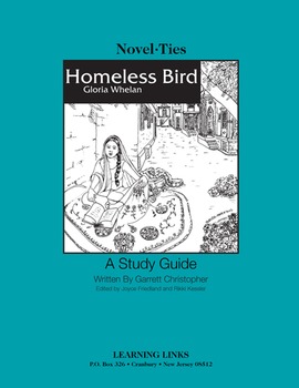 the homeless bird