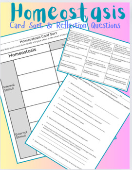 Preview of Homeostasis Card Sort Worksheet and Reflection Questions