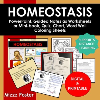 Preview of Homeostasis BIG Bundle: Ppt, Guided Notes, Word Wall, Quiz, Chart (Digital too)