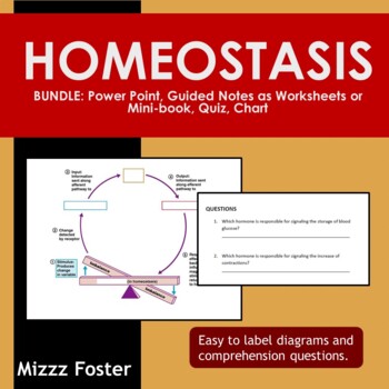 Homeostasis Chart