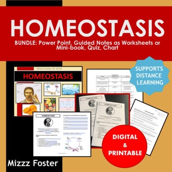 Preview of Homeostasis Bundle: PowerPoint, Chart, Guided Notes, Quiz (Printable & Digital)